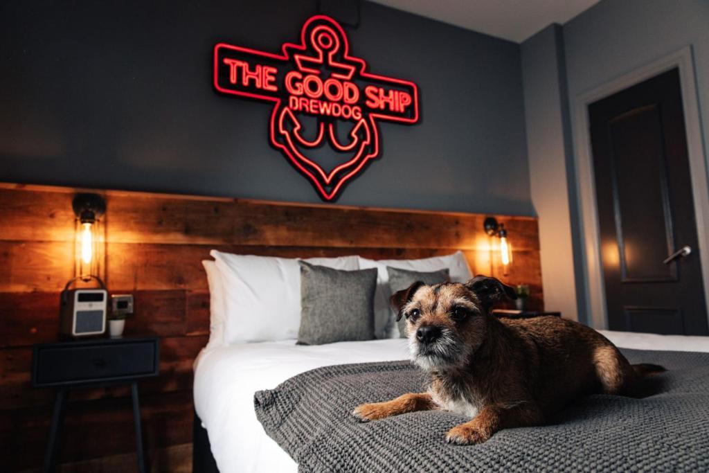 BrewDog Kennels - Aberdeen Eksteriør bilde